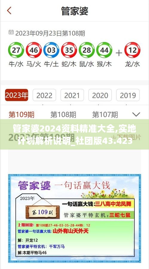 管家婆2024资料精准大全,实地计划解析说明_社团版43.423