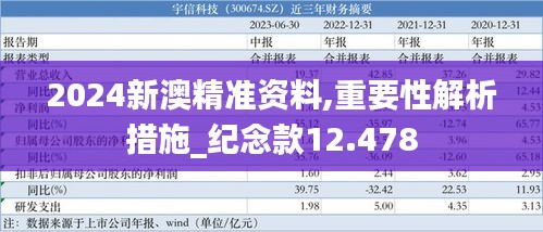 2024新澳精准资料,重要性解析措施_纪念款12.478