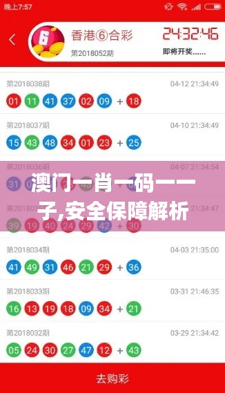 澳门一肖一码一一子,安全保障解析落实_原版78.82