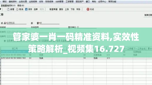 管家婆一肖一码精准资料,实效性策略解析_视频集16.727