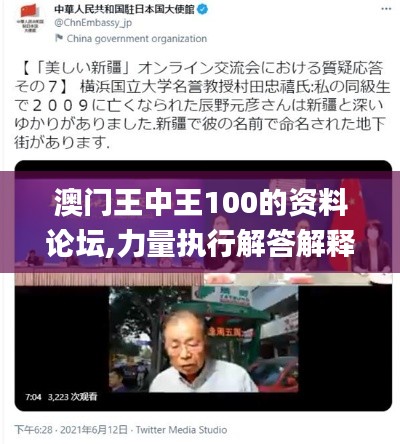 澳门王中王100的资料论坛,力量执行解答解释_活泼版1.848