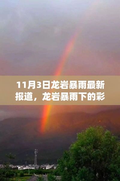 龙岩暴雨下的彩虹奇缘，友情与陪伴的温馨故事（最新报道）