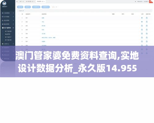 澳门管家婆免费资料查询,实地设计数据分析_永久版14.955