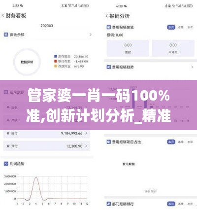 管家婆一肖一码100%准,创新计划分析_精准版81.797