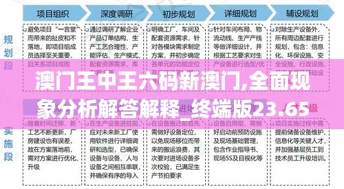 澳门王中王六码新澳门,全面现象分析解答解释_终端版23.654