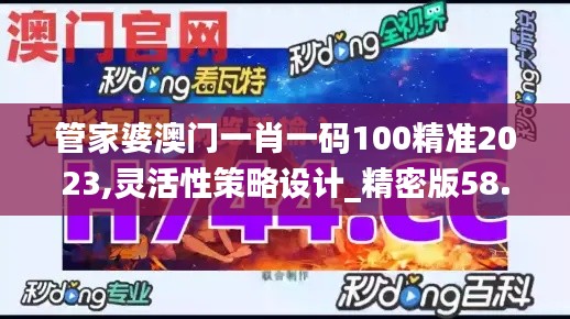 管家婆澳门一肖一码100精准2023,灵活性策略设计_精密版58.492