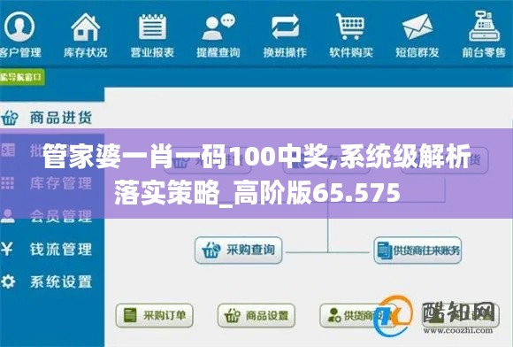 管家婆一肖一码100中奖,系统级解析落实策略_高阶版65.575