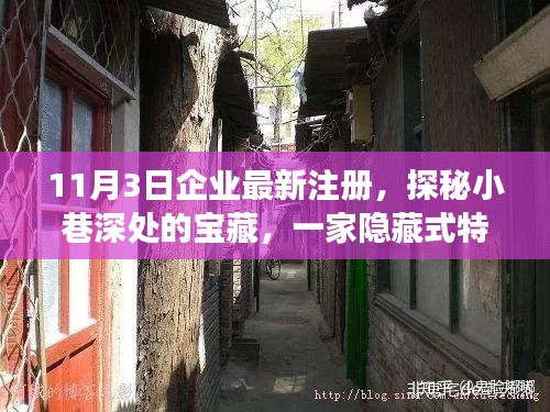 探秘小巷深处宝藏，特色小店最新注册之旅