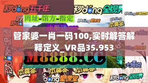 管家婆一肖一码100,实时解答解释定义_VR品35.953