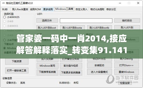 管家婆一码中一肖2014,接应解答解释落实_转变集91.141