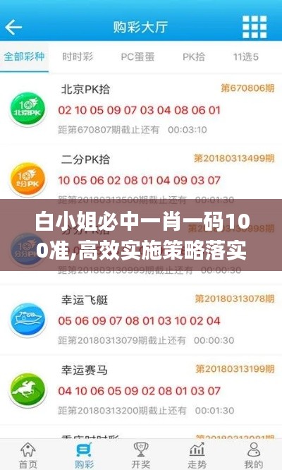 白小姐必中一肖一码100准,高效实施策略落实_历史版99.929