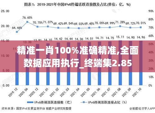 精准一肖100%准确精准,全面数据应用执行_终端集2.85