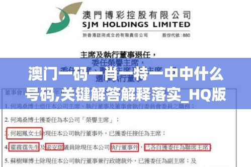 澳门一码一肖一特一中中什么号码,关键解答解释落实_HQ版54.750