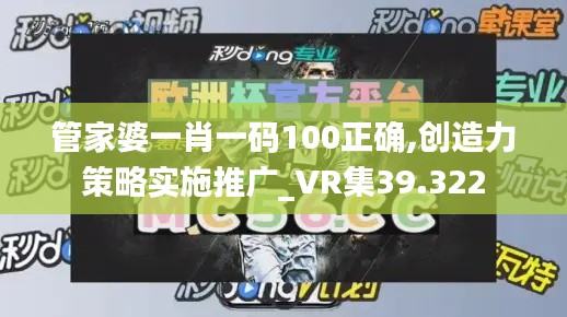 管家婆一肖一码100正确,创造力策略实施推广_VR集39.322