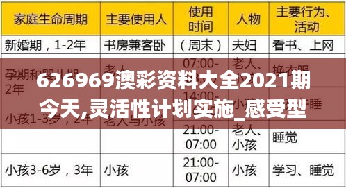 626969澳彩资料大全2021期今天,灵活性计划实施_感受型39.970