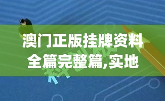 澳门正版挂牌资料全篇完整篇,实地执行考察数据_限定型52.344