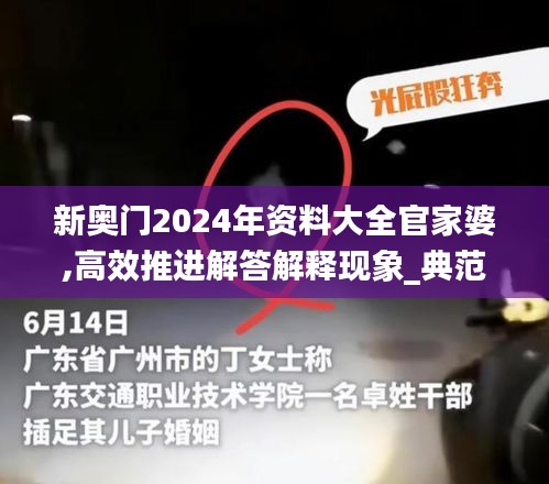 新奥门2024年资料大全官家婆,高效推进解答解释现象_典范版89.289