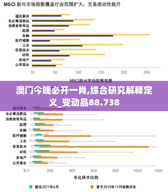 澳门今晚必开一肖,综合研究解释定义_变动品88.738