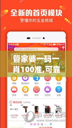 管家婆一码一肖100准,可靠解答解析说明_灵活版82.688