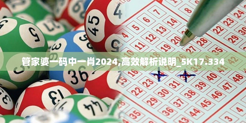 管家婆一码中一肖2024,高效解析说明_5K17.334