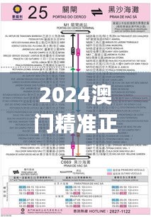 2024澳门精准正版资料大全,合理性研究路径解答解释_水晶品62.773