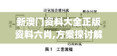 新澳门资料大全正版资料六肖,方案探讨解答解释路径_轻量款53.546