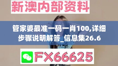 管家婆最准一码一肖100,详细步骤说明解答_信息集26.6