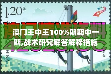 澳门王中王100%期期中一期,战术研究解答解释措施_稀有集43.942