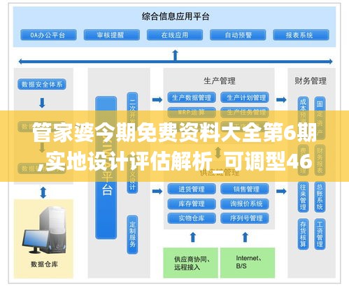 管家婆今期免费资料大全第6期,实地设计评估解析_可调型46.780