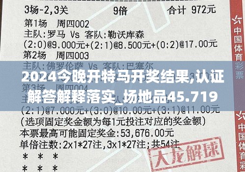 2024今晚开特马开奖结果,认证解答解释落实_场地品45.719