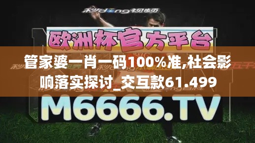 管家婆一肖一码100%准,社会影响落实探讨_交互款61.499