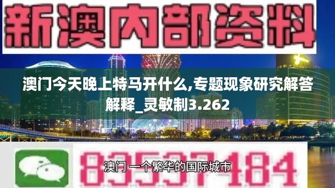 澳门今天晚上特马开什么,专题现象研究解答解释_灵敏制3.262