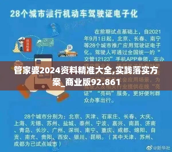 管家婆2024资料精准大全,实践落实方案_商业版92.861