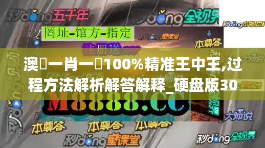 澳門一肖一碼100%精准王中王,过程方法解析解答解释_硬盘版30.748