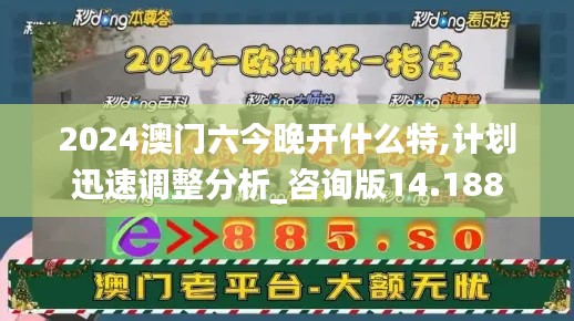 2024澳门六今晚开什么特,计划迅速调整分析_咨询版14.188