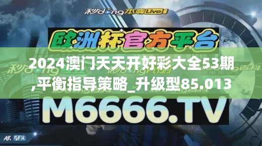 2024澳门天天开好彩大全53期,平衡指导策略_升级型85.013