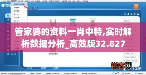 管家婆的资料一肖中特,实时解析数据分析_高效版32.827