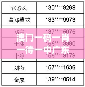 澳门一码一肖一待一中广东,全面探讨解答现象解释_独立版50.236