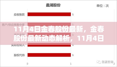 11月4日金春股份最新动态解析，正反观点与个人立场观察