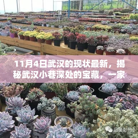 武汉小巷深处的宝藏揭秘，特色小店等你来探索（最新11月4日现状报道）