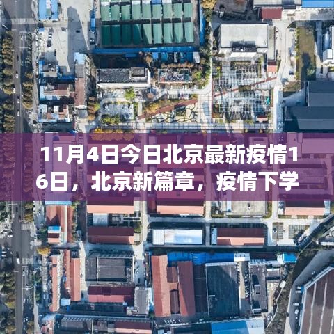 北京疫情下的新篇章，学习变革的自信与成就之歌（11月4日最新更新）