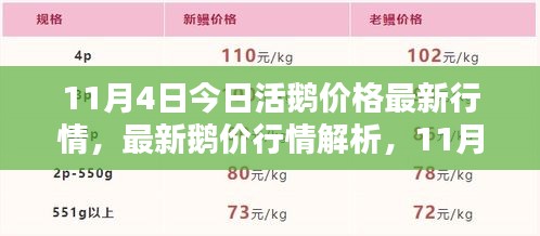 2024年11月4日 第8页