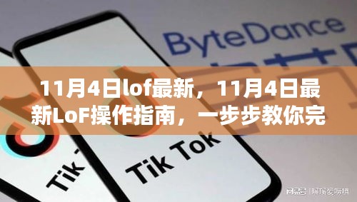 最新LoF操作指南，11月4日步骤详解，轻松完成这项任务