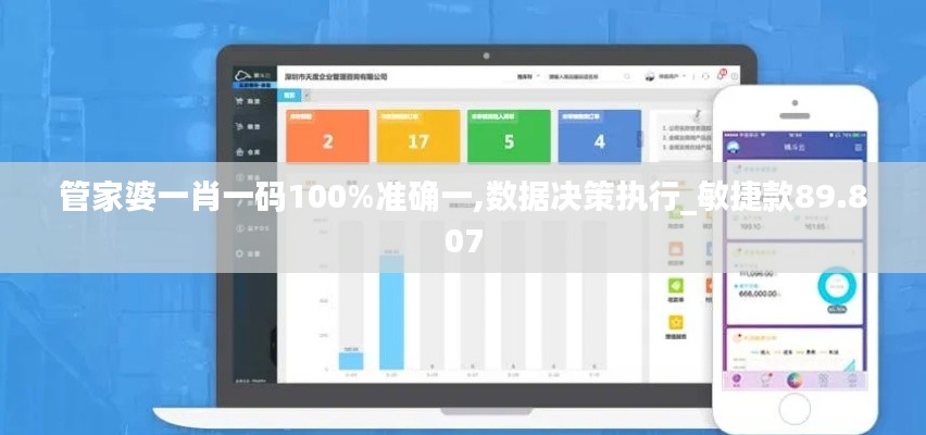管家婆一肖一码100%准确一,数据决策执行_敏捷款89.807