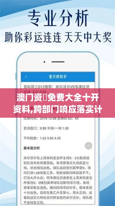 澳门资枓免费大全十开资料,跨部门响应落实计划_简便款31.942