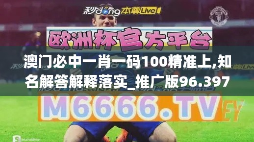 澳门必中一肖一码100精准上,知名解答解释落实_推广版96.397