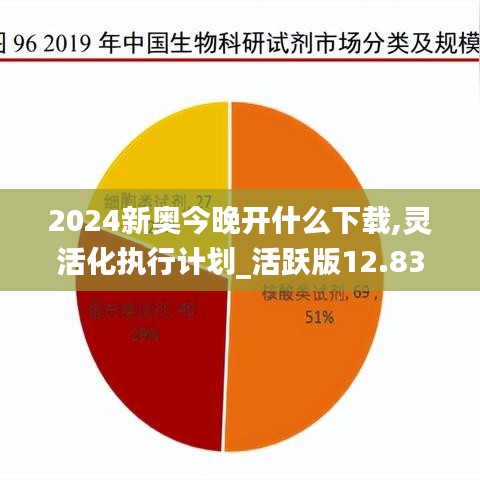 2024新奥今晚开什么下载,灵活化执行计划_活跃版12.832