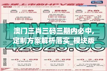 澳门三肖三码三期内必中,定制方案解析落实_模块版15.402