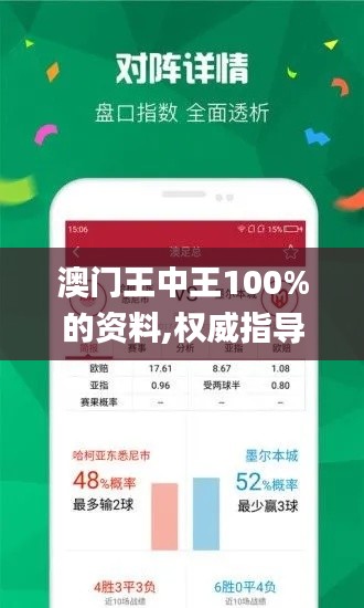 澳门王中王100%的资料,权威指导解答解释现象_探索版37.118