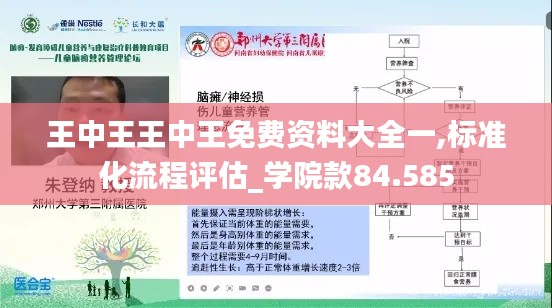 王中王王中王免费资料大全一,标准化流程评估_学院款84.585